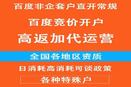 百度竞价排名案例分享：广告投放的技巧与误区
